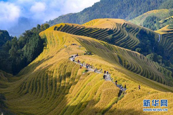 日本新天皇德仁即位后首次讲话..._云电脑连接失败
