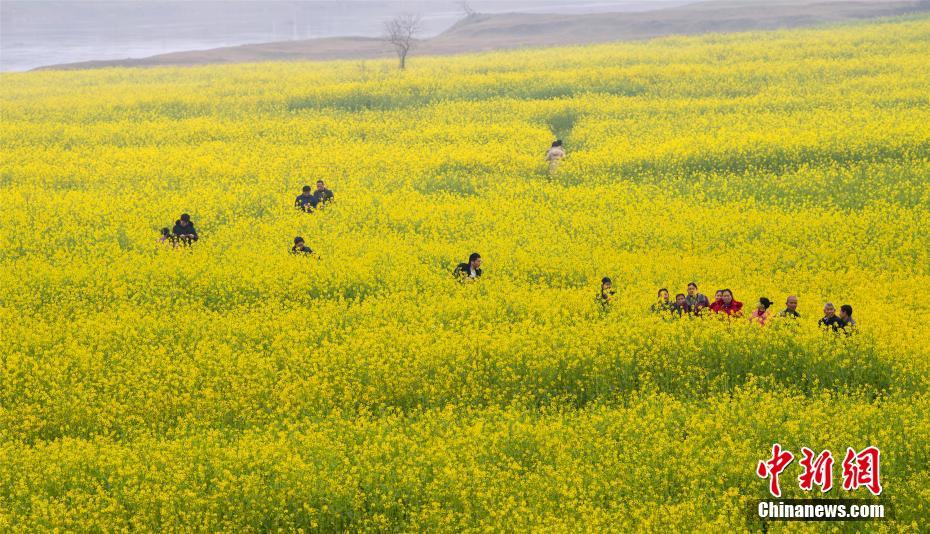 科创板打新门槛多高？私募仅3.2%可参与_云服务器租用