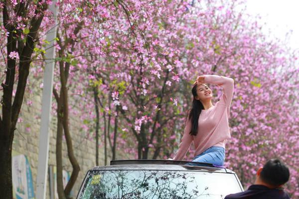 习近平的“一带一路”时间_9929季付