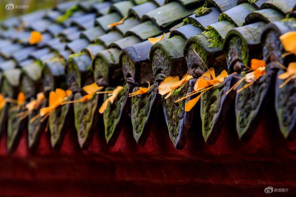 爱30年为何不敌相识两年_企业邮箱