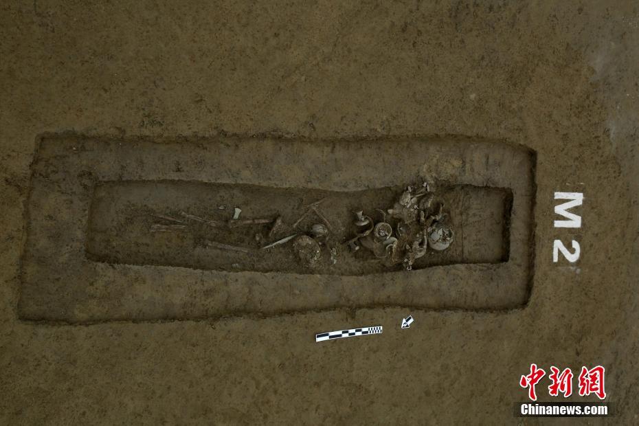 外媒:特斯拉虚报一季度业绩 隐瞒2亿美元退税收入_CN2服务器不绕路